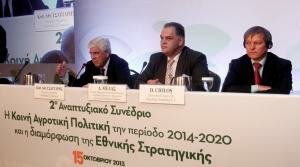 © 2013 Athens-Macedonian News Agency